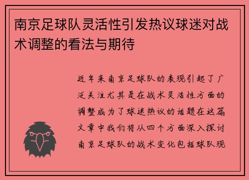 南京足球队灵活性引发热议球迷对战术调整的看法与期待